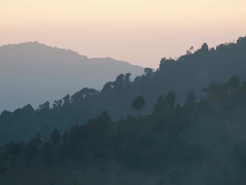 Assam Arunachal Tour Image